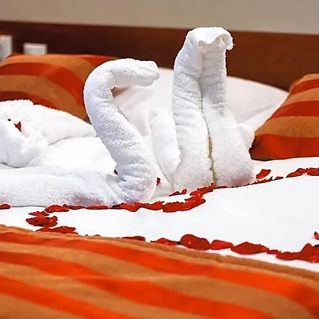 Otel Auto Jas 4*