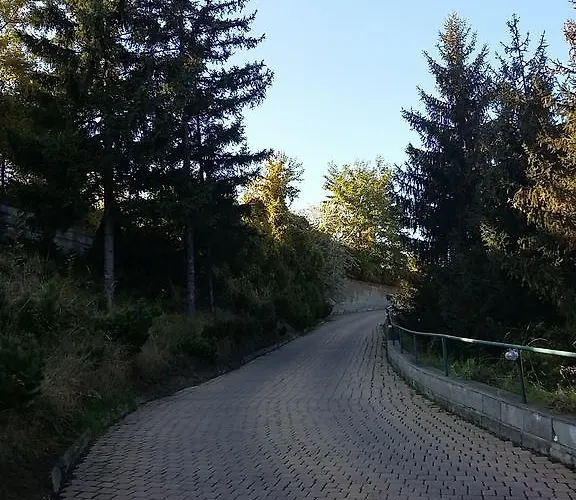 Auto Jas Nitra